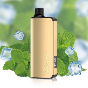 ALIBARBAR INGOT 9000 PUFF – COOL MINT