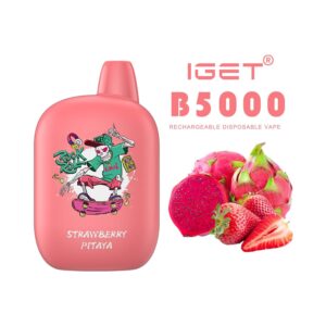 iGET B5000 VAPE 5000 PUFF STRAWBERRY PITAYA